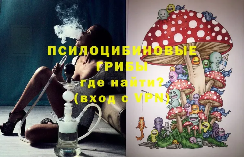 Галлюциногенные грибы Psilocybine cubensis Алдан